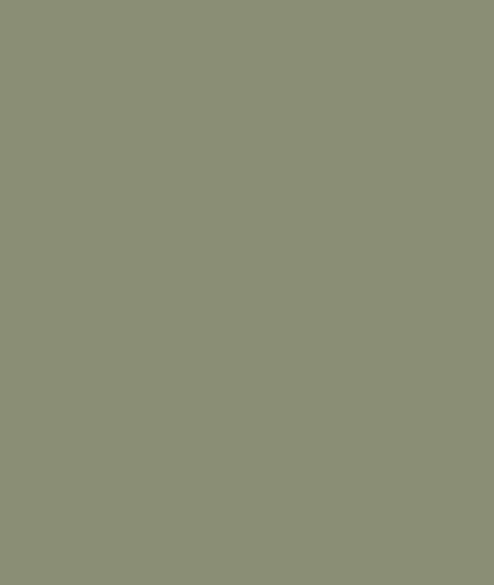 LEGGINGS MOLY TENCEL OLIVE