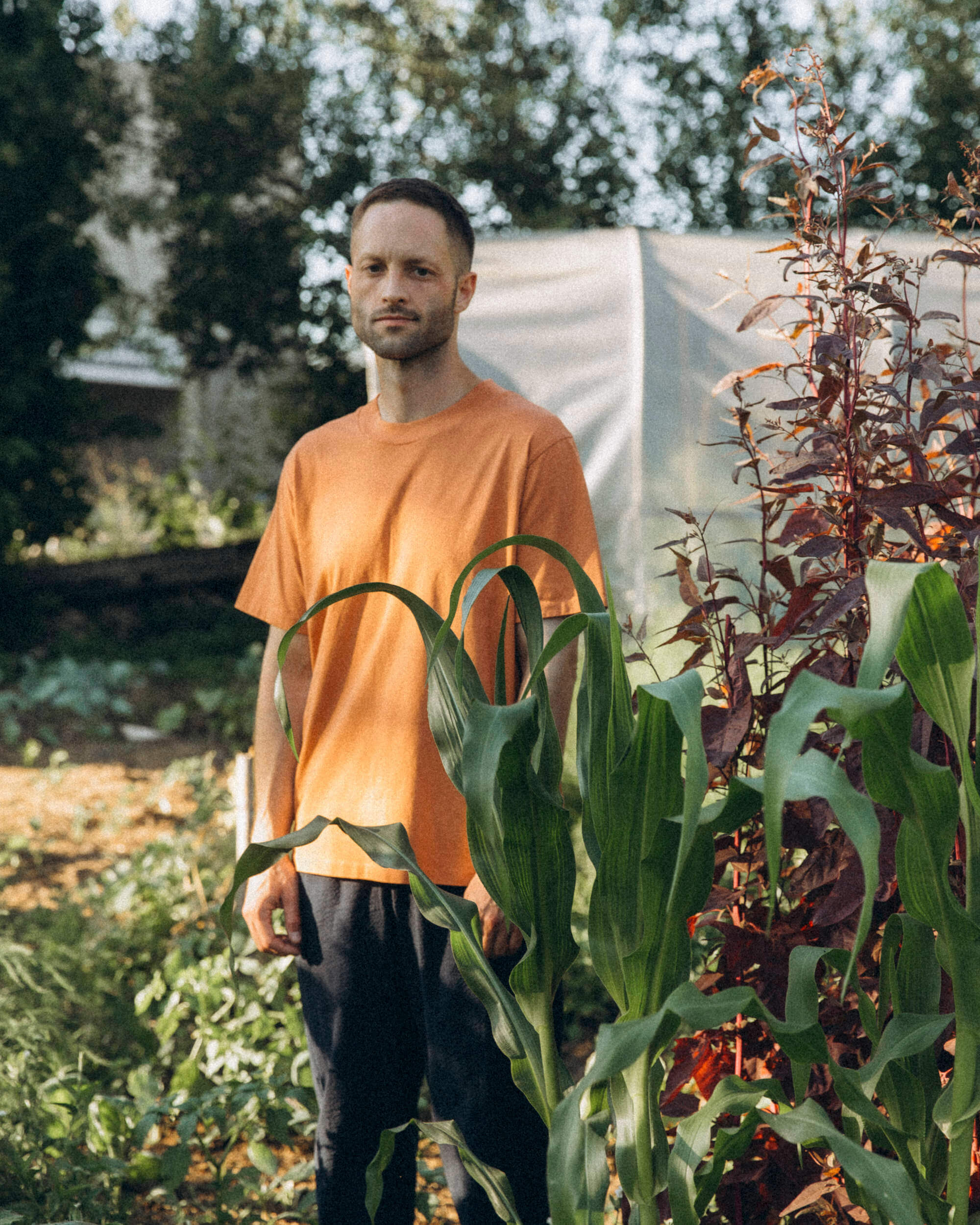 Oranges T-Shirt All Day aus 100% Bio-Baumwolle von Matona