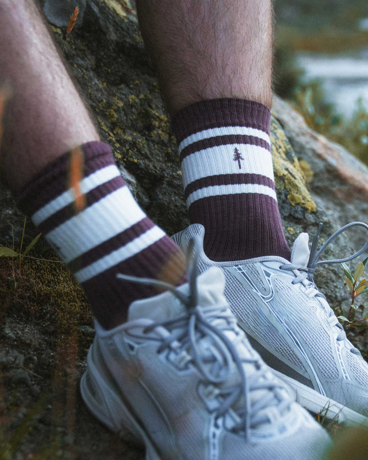 NIKIN TreeSocks gerippte gestreifte Socken im 2er-Pack, Farbe Cocoa-Off White, mit weißen Sneakers, vor einem Outdoor-Hintergrund.