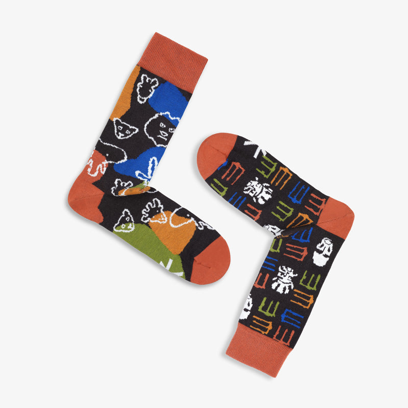 paarsocks-africa-socken-mismatchedsocks-braun-gruen-blau-gelb-bunt-variante4