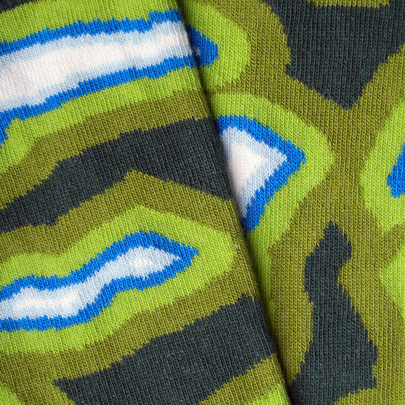 Grüne Socken SWISS LAKES aus Bio-Baumwolle von Paar Socks