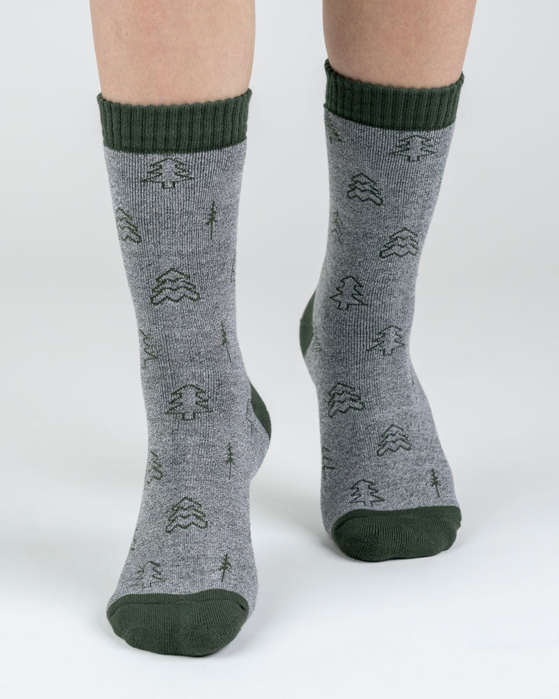 TreeSocks Pinacée d'hiver