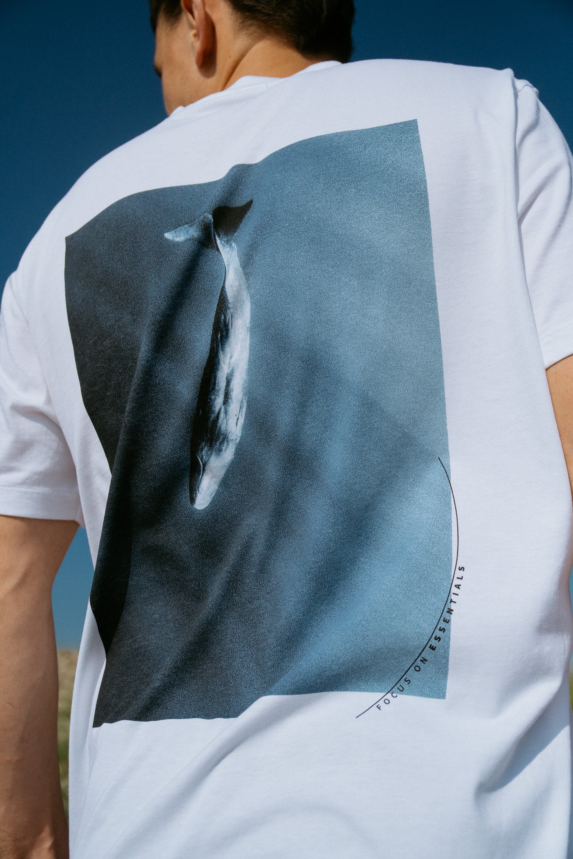Whale T-shirt