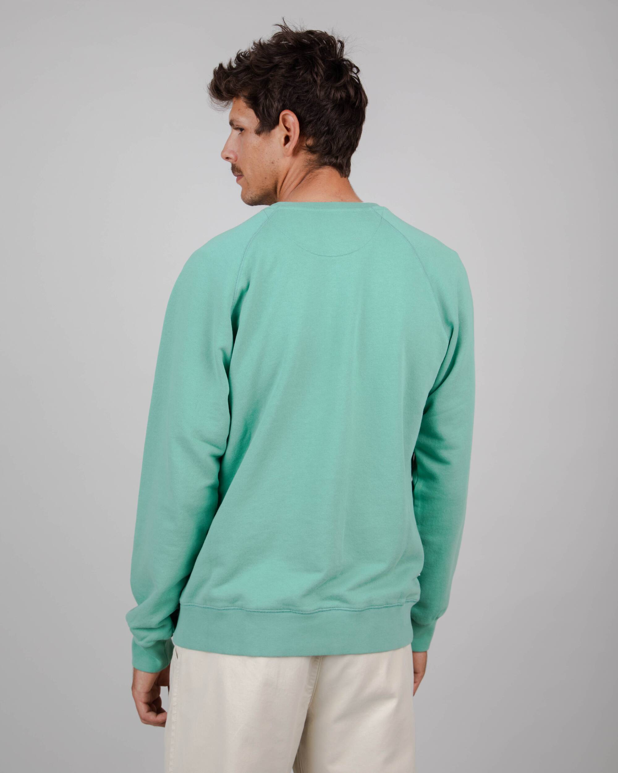 Pull ASIS Tiger vert clair en coton 100% biologique de Brava Fabrics