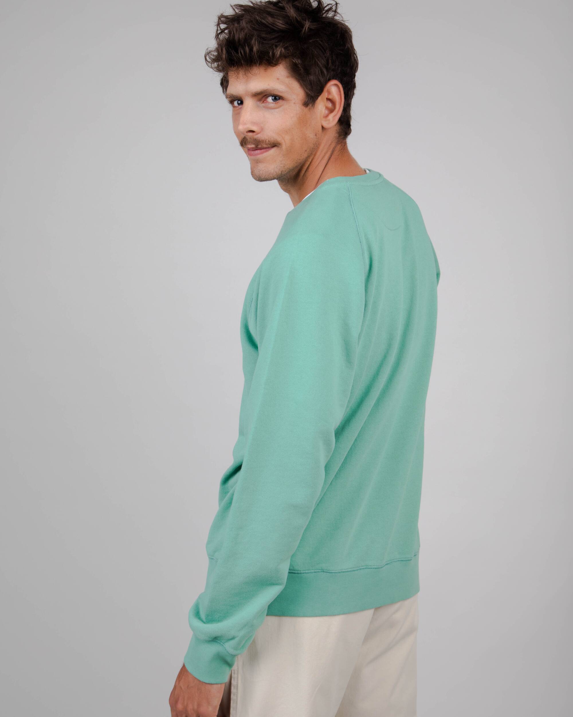 Light green ASIS Tiger sweater made from 100% organic cotton from Brava Fabrics