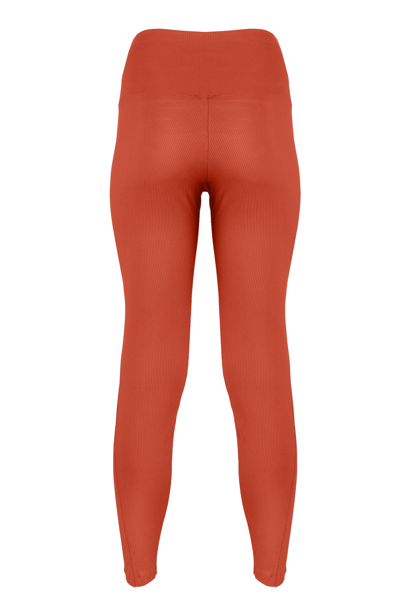 Orange hybrid leggings made of polyamide from MOYA KALA