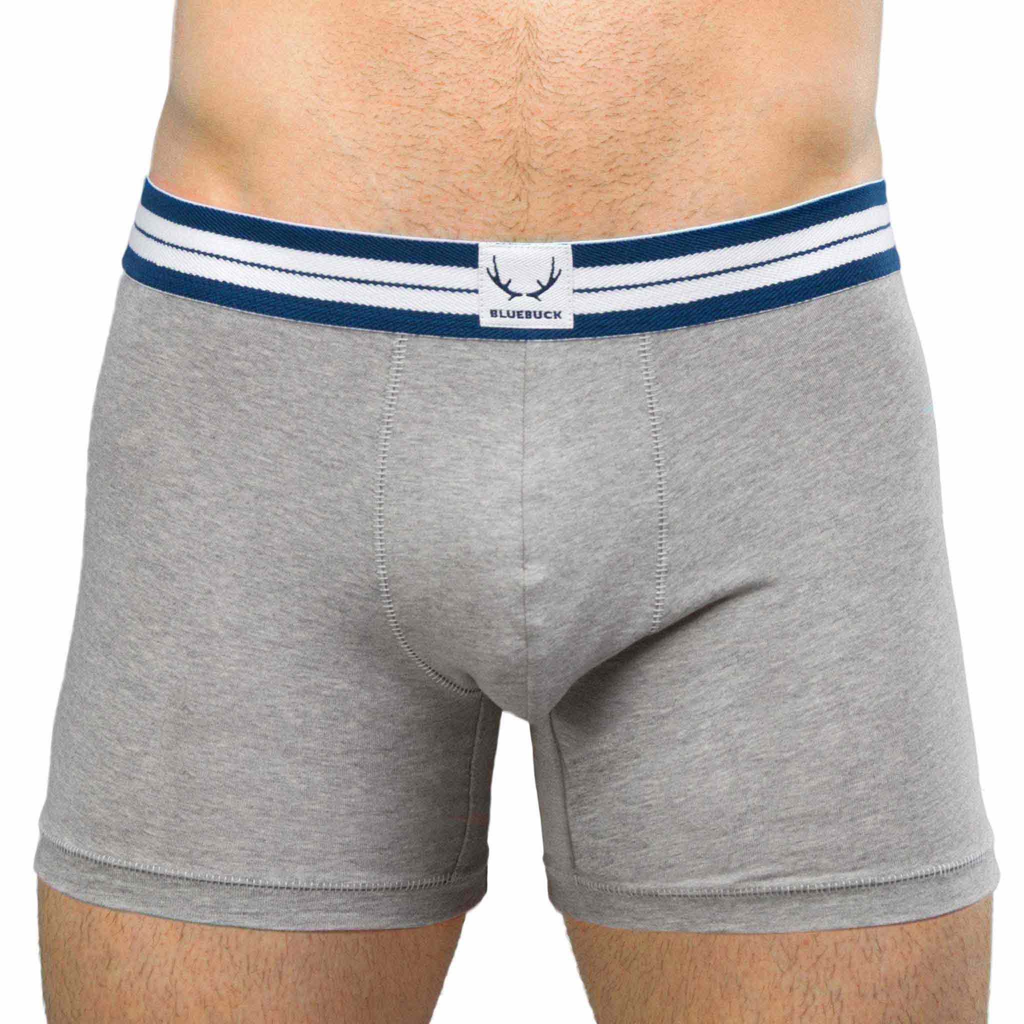 Gray long boxer shorts made of organic cotton from Bluebuck